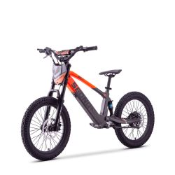 Draisienne Electrique 20 Pouces SEDNA "SX 20" Orange