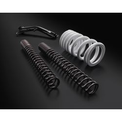 Kit de rabaissement de châssis pour KTM 125 DUKE (2017-2022)