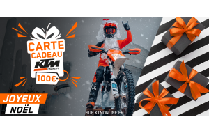 
			                        			CARTE CADEAU NOËL 100€