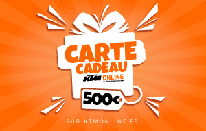 
			                        			CARTE CADEAU 500